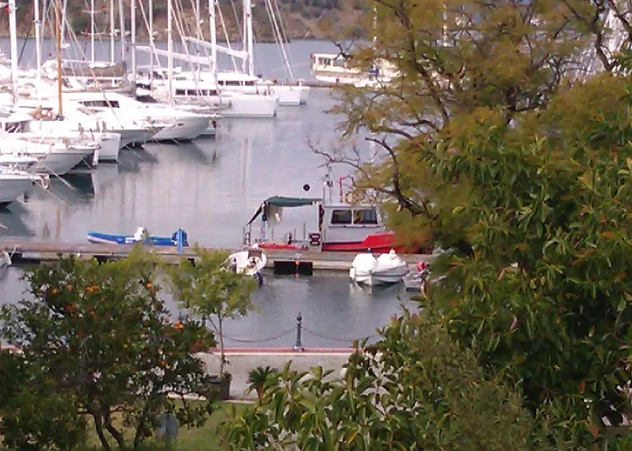 Pinara & * フェティエ