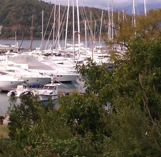 Pinara & ホステル *